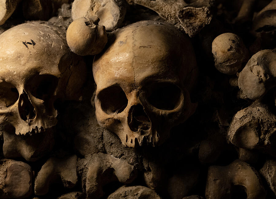 skulls in the Catacombs